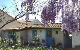 La campagne dans la ville